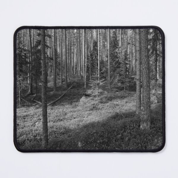 Item preview, Young forest. Seitseminen National Park bw designed and sold by Jouko Lehto Photography.