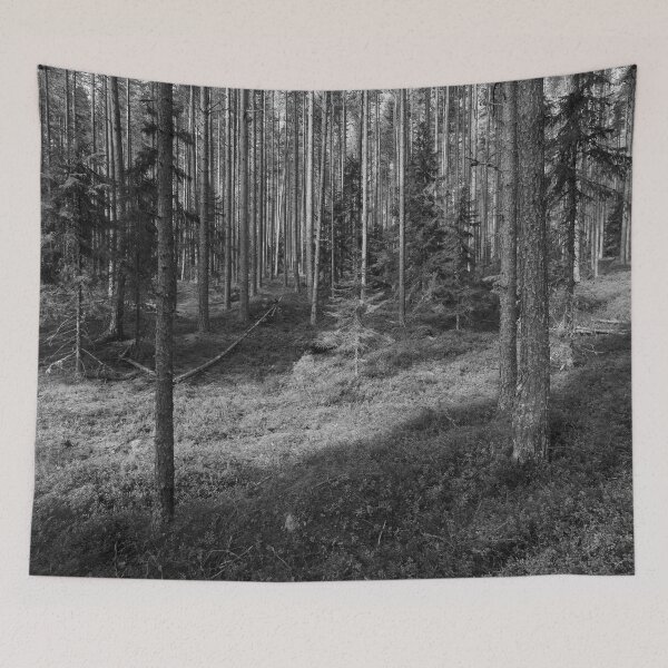 Item preview, Young forest. Seitseminen National Park bw designed and sold by Jouko Lehto Photography.