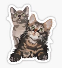 Kittens Sticker