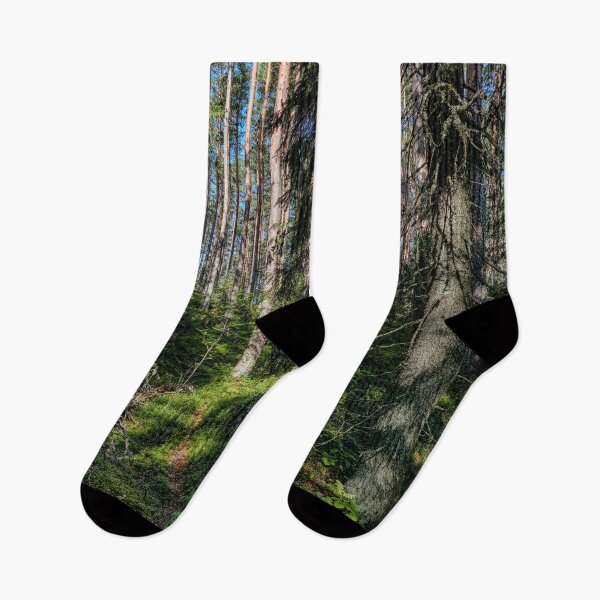 Item preview, Hillside forest hdr. Seitseminen National Park designed and sold by Jouko Lehto Photography.