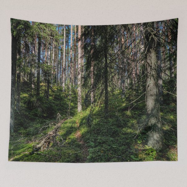 Item preview, Hillside forest hdr. Seitseminen National Park designed and sold by Jouko Lehto Photography.
