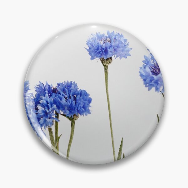 Item preview, Five blue nice cornflowers in little vases in a wooden frame over grey, simple flower gift and decoration  designed and sold by dariazu.