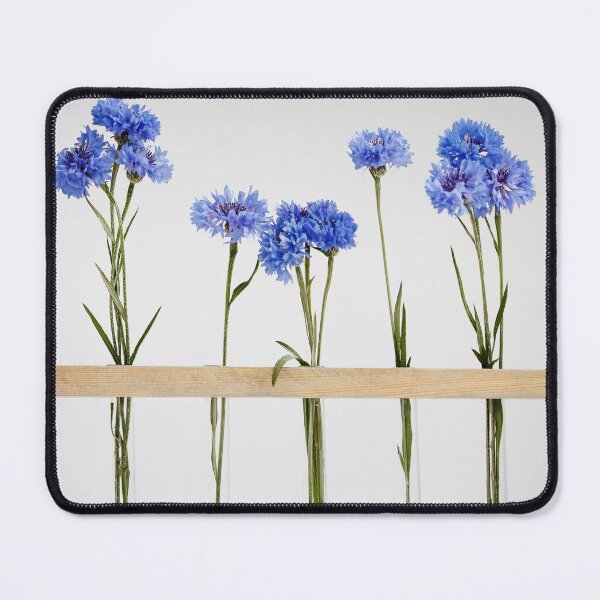 Item preview, Five blue nice cornflowers in little vases in a wooden frame over grey, simple flower gift and decoration designed and sold by dariazu.