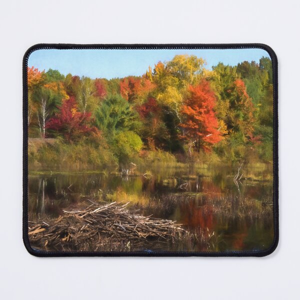 Item preview, Autumn Beaver Pond Reflections designed and sold by Georgia Mizuleva.