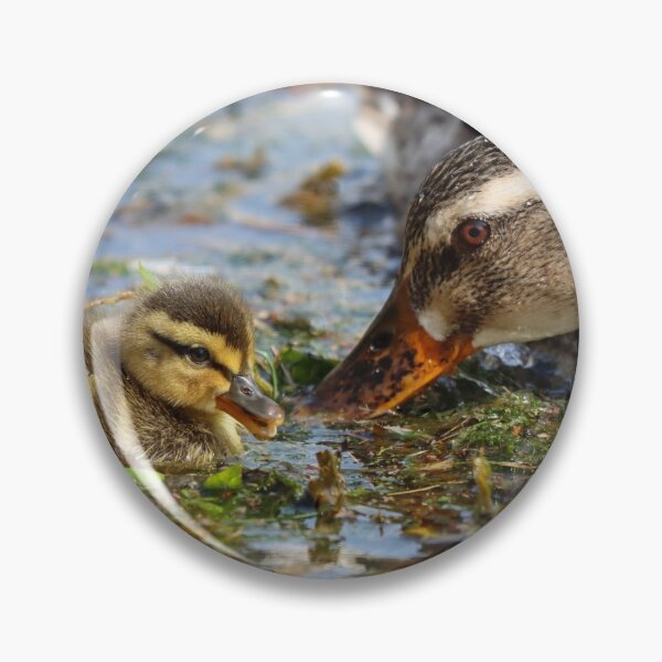 Item preview, Mother & duckling designed and sold by GreyFeatherPhot.