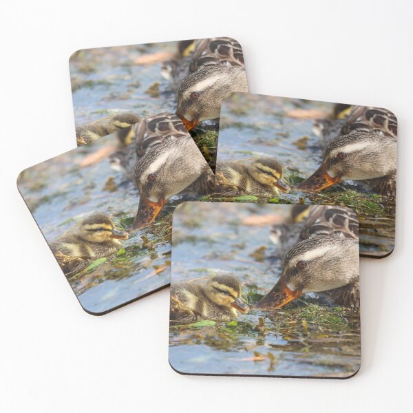 Item preview, Mother & duckling designed and sold by GreyFeatherPhot.