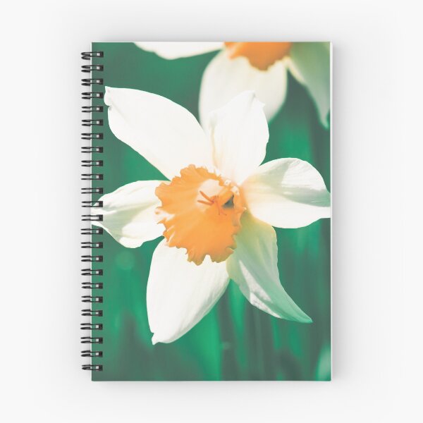 Item preview, Narciso blanco designed and sold by Jack Francis.