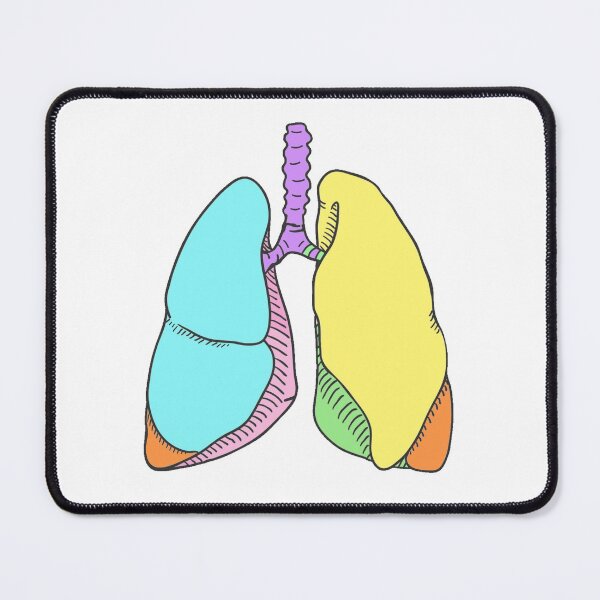Item preview, Pastel Lungs | Body and Bones | Tesni Alys Designs designed and sold by Tesni Alys.