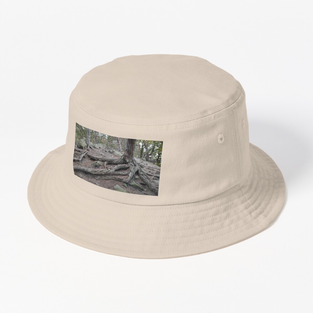 Artikel-Vorschau von Bucket Hat, designt und verkauft von Gourmetkater.