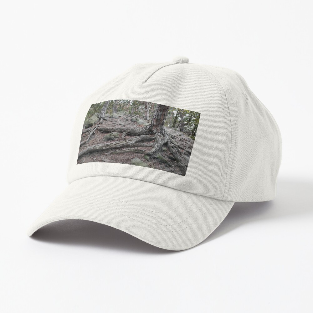 Artikel-Vorschau von Dad Hat, designt und verkauft von Gourmetkater.