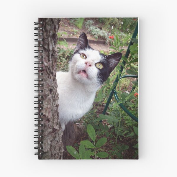 Item preview, Tom cat designed and sold by Gourmetkater.