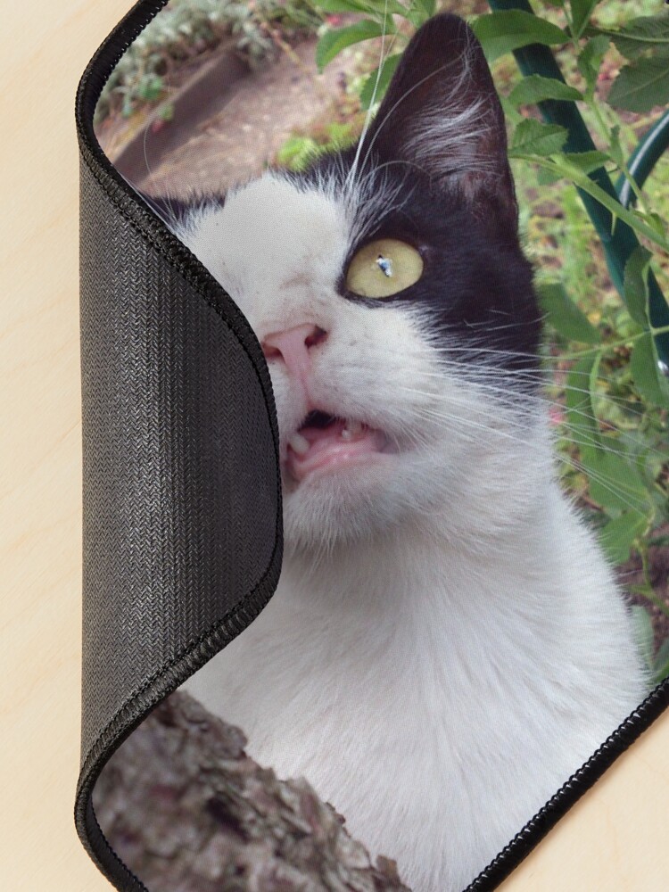 Alternative Ansicht von Kater Tim Mauspad