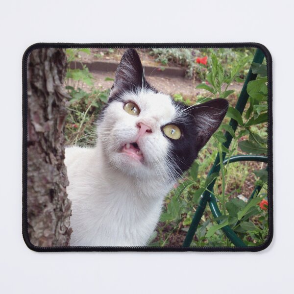 Item preview, Tom cat designed and sold by Gourmetkater.