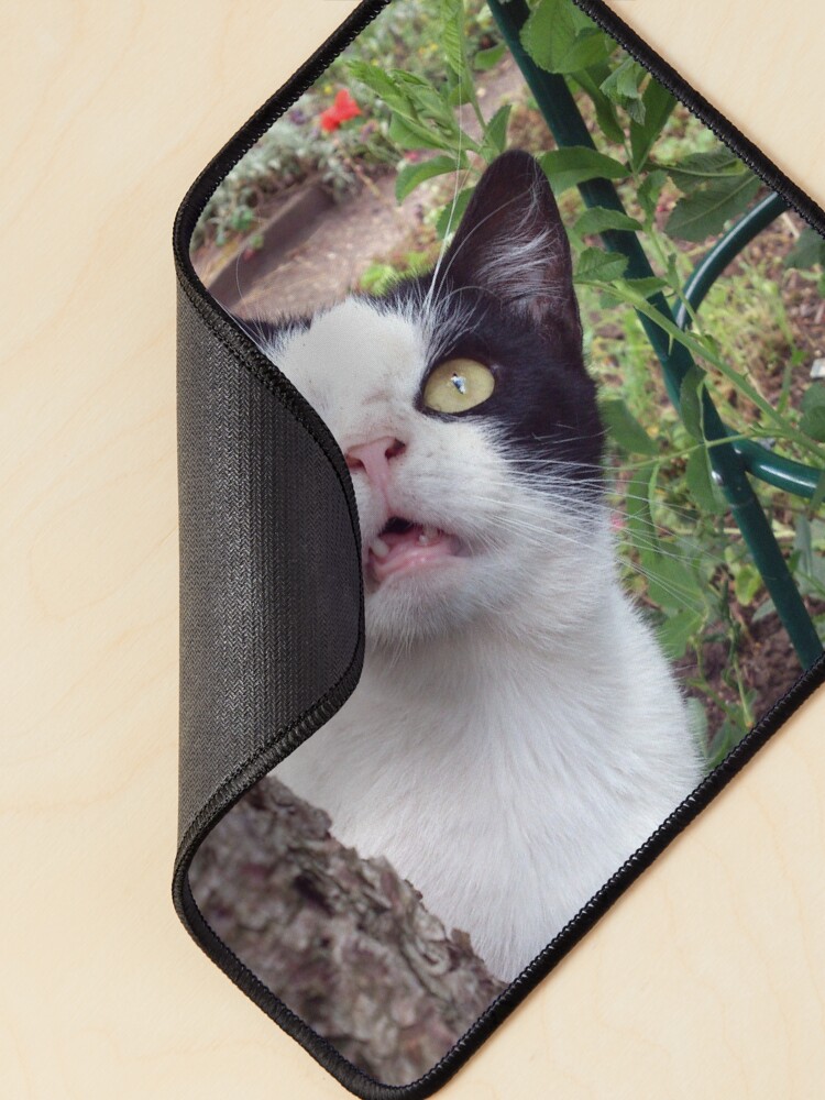 Alternative Ansicht von Kater Tim Mauspad