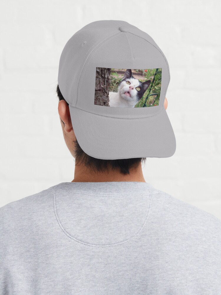 Alternative Ansicht von Kater Tim Cap