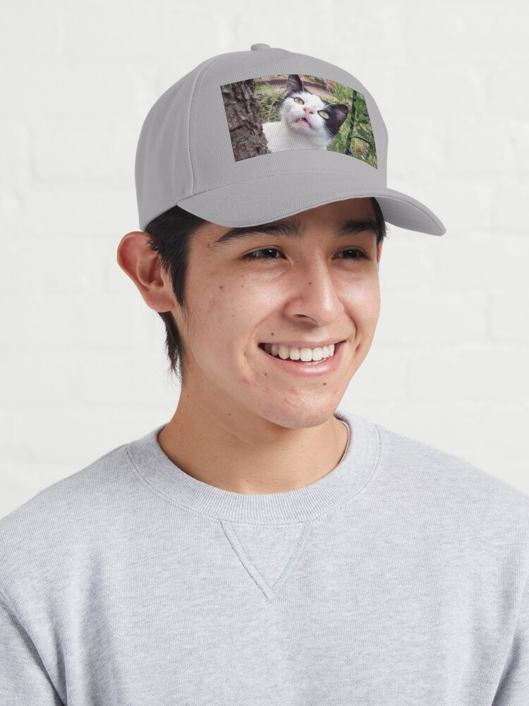 Alternative Ansicht von Kater Tim Cap
