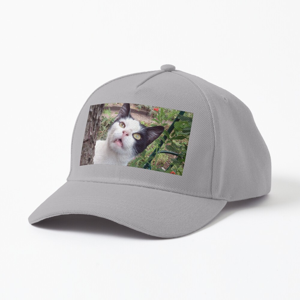 Kater Tim Cap