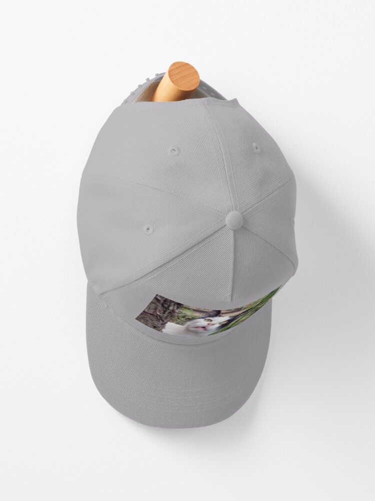 Alternative Ansicht von Kater Tim Cap