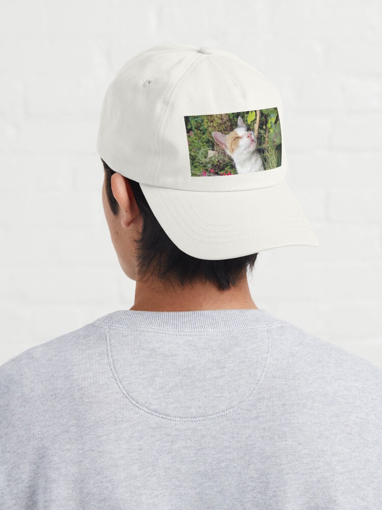 Alternative Ansicht von Glückskatze im Garten Cap