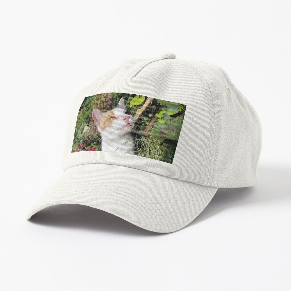 Glückskatze im Garten Cap