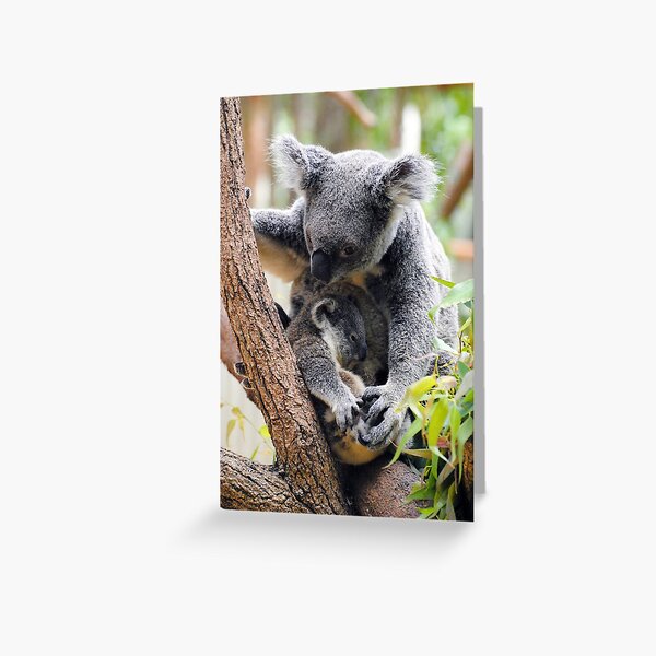 Item preview, Koala designed and sold by AlizadaStudios.