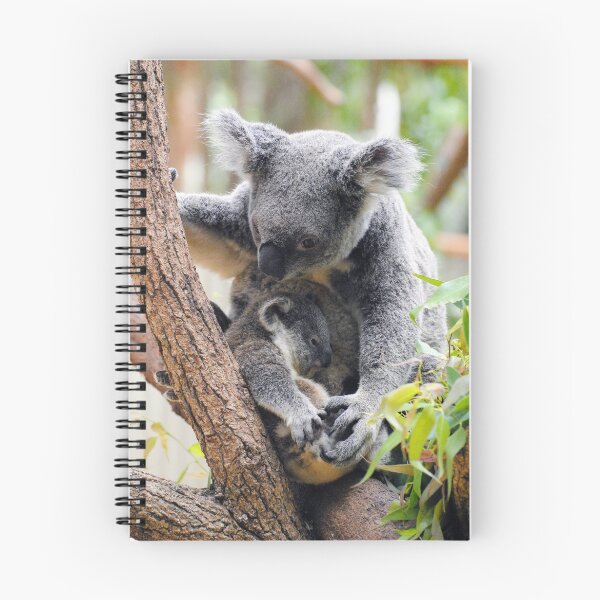 Aperçu de l'œuvre Koala créée et vendue par AlizadaStudios.