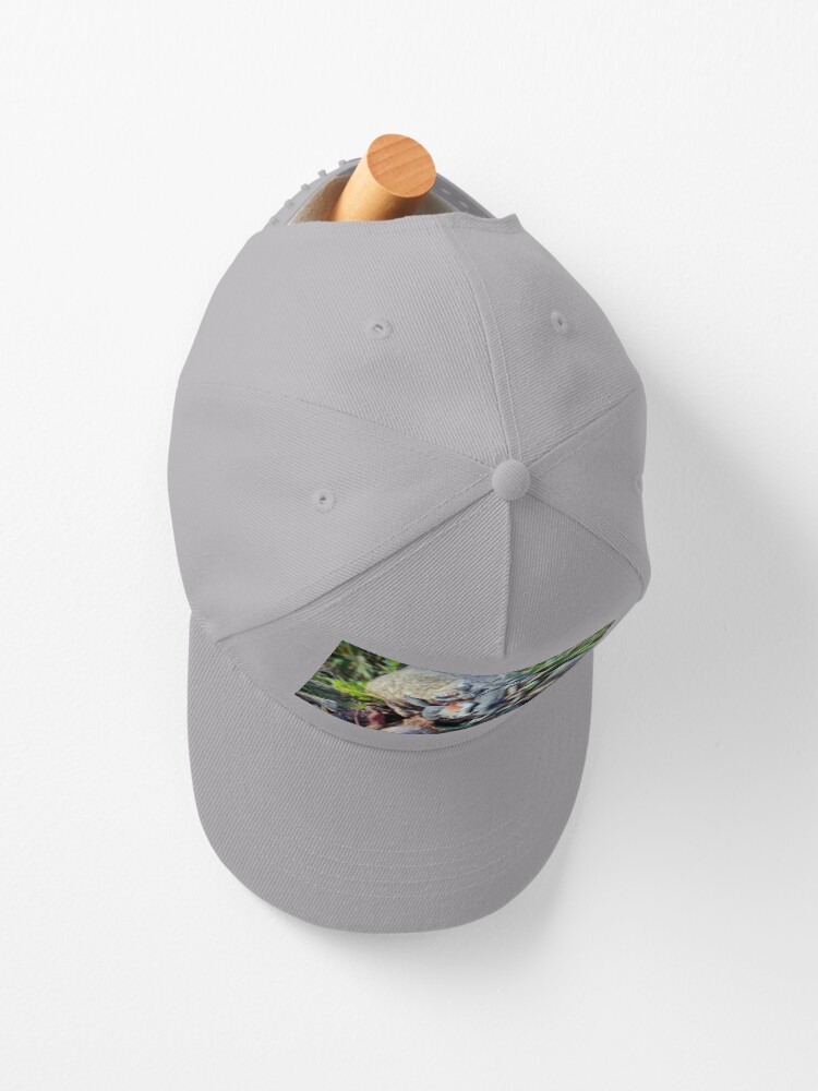 Alternative Ansicht von Silberner Reiter Cap