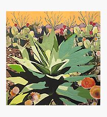 Agave in Stitches Photographic Print