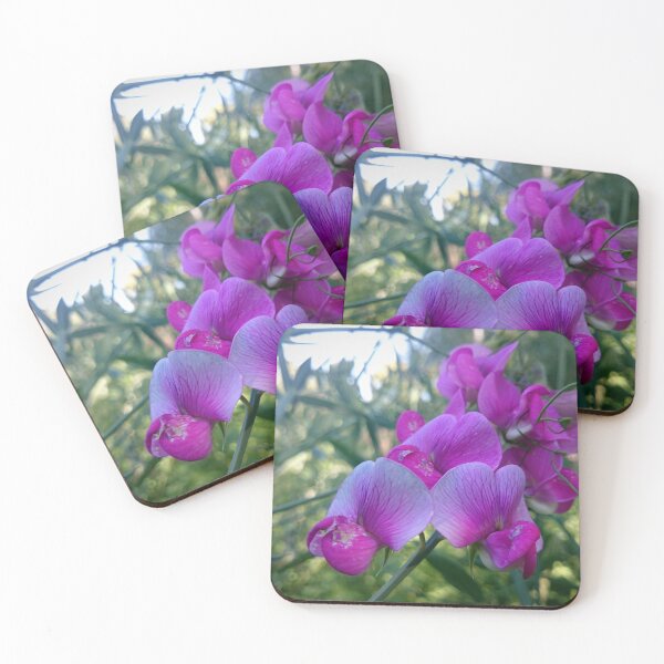 Item preview, Vetch designed and sold by Gourmetkater.