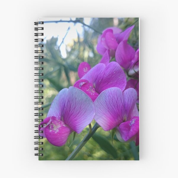 Item preview, Vetch designed and sold by Gourmetkater.