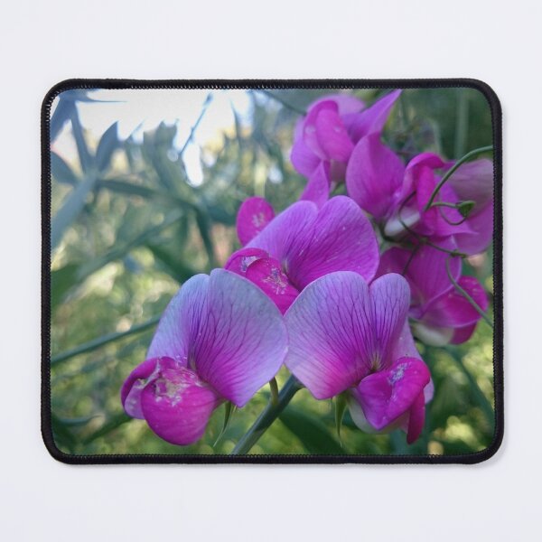 Item preview, Vetch designed and sold by Gourmetkater.