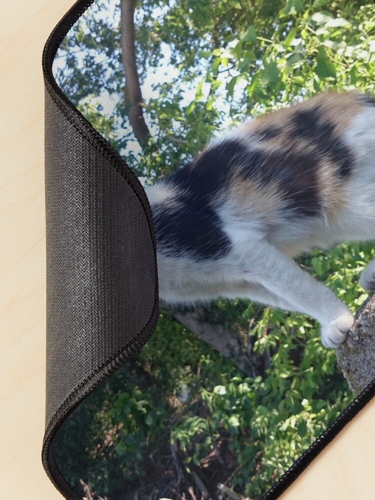 Alternative Ansicht von Katze Lagertha auf Wacht Mauspad