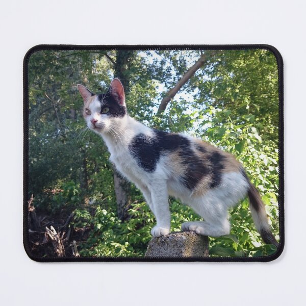 Item preview, Lagertha cat on watch designed and sold by Gourmetkater.