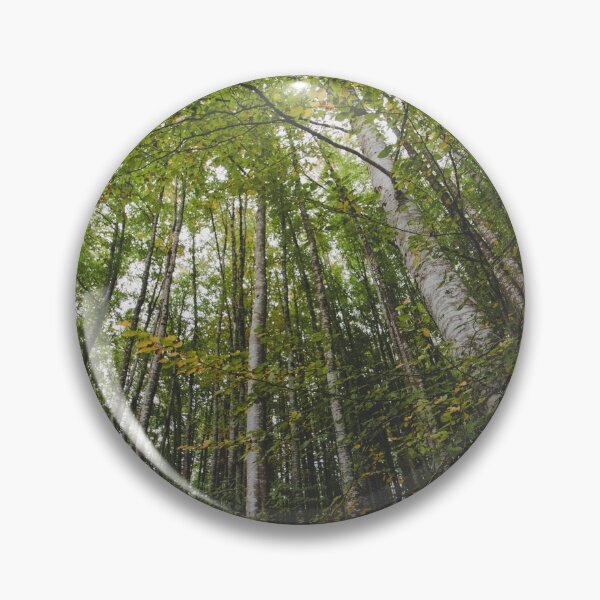 Item preview, Forest with tall trees 2 designed and sold by joneagoitz.