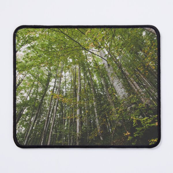 Item preview, Forest with tall trees 2 designed and sold by joneagoitz.