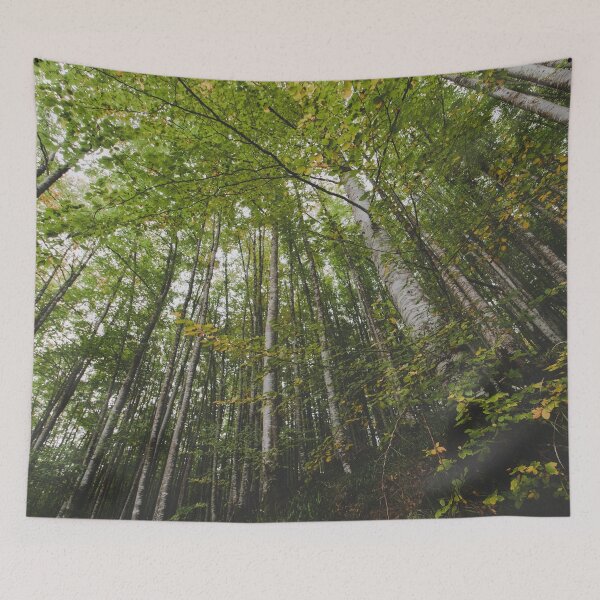 Item preview, Forest with tall trees 2 designed and sold by joneagoitz.