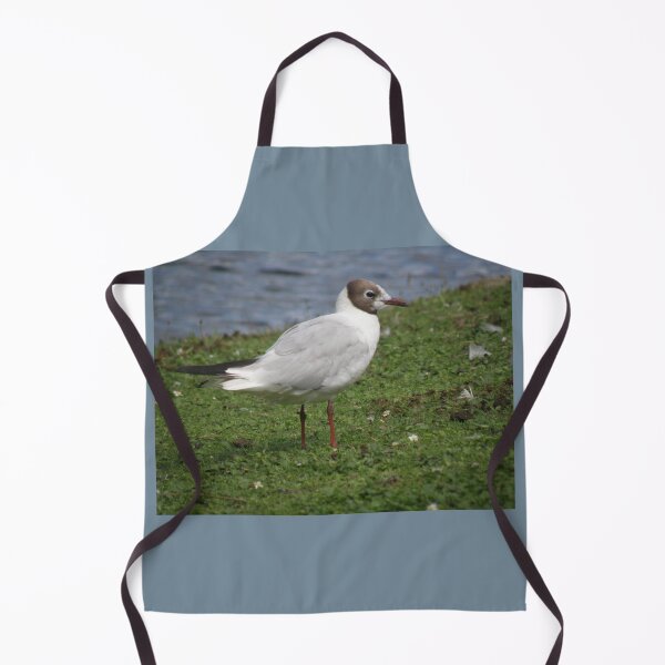 Item preview, Black Headed Gull Photograph designed and sold by naturegallery.