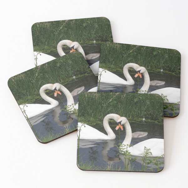 Item preview, Cisnes mudos amorosos en el agua Fotografía designed and sold by naturegallery.