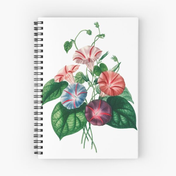 Item preview, Vintage Morning Glory Flower Banquet designed and sold by JoyforU.