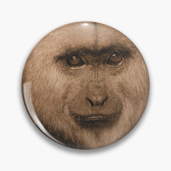 Item preview, Monkey buisness in sepia designed and sold by elaine pearson.