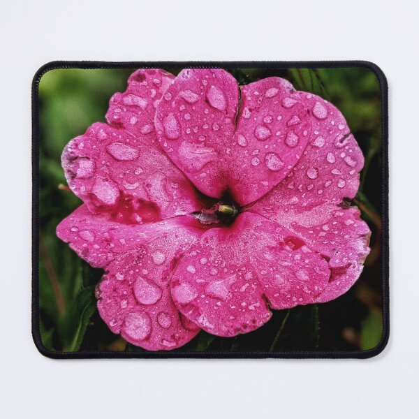 Item preview, Pink Petunia designed and sold by KathyGail.