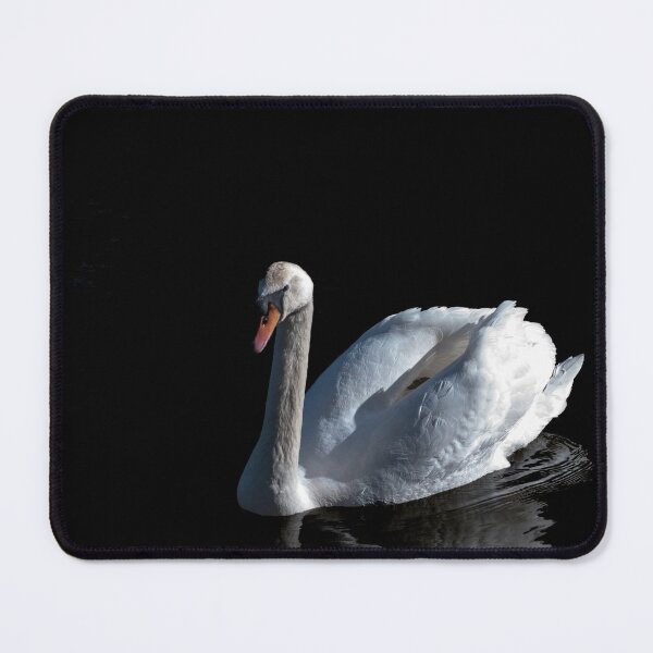 Item preview, White mute swan on black background designed and sold by LindaCooke.