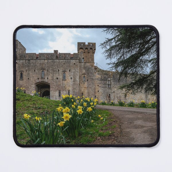 Item preview, Caldicot Castle with Daffodils designed and sold by iCimages.net.