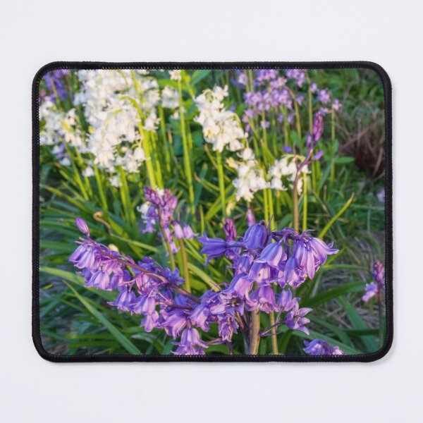 Item preview, Bluebells designed and sold by iCimages.net.