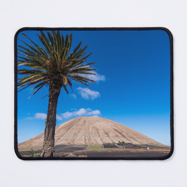Item preview, Lanzarote palm tree designed and sold by iCimages.net.