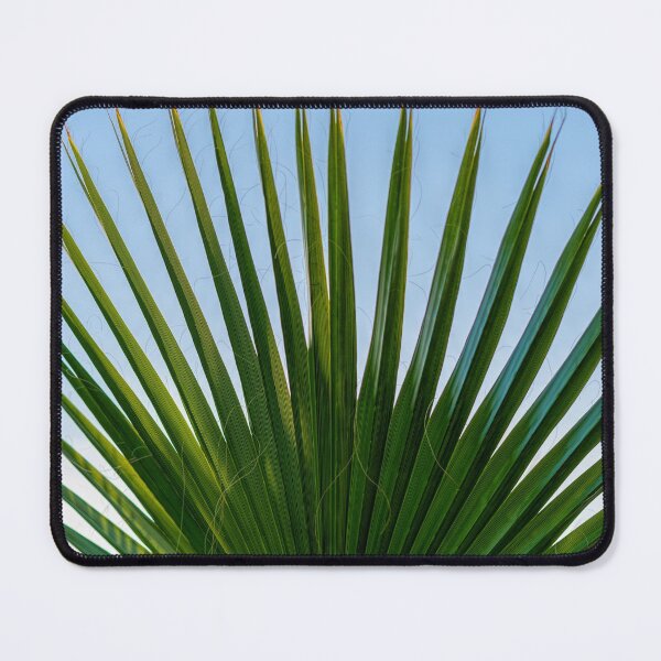 Item preview, Palm tree fan leaf designed and sold by iCimages.net.