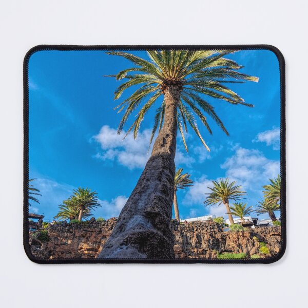 Item preview, Palm tree - Jameos del agua - Lanzarote designed and sold by iCimages.net.