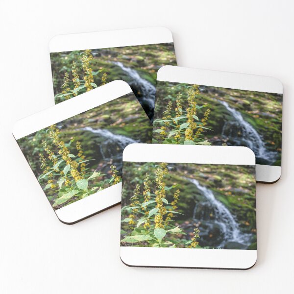 Item preview, Shenandoah National Park designed and sold by Matthew Carroll.