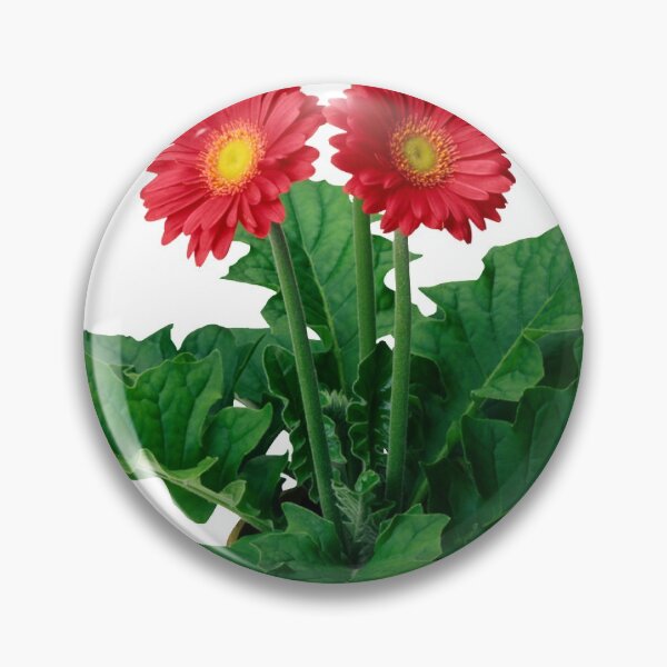 Item preview, Plants Make Me Feel Alive designed and sold by AhmedXhah.