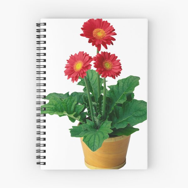 Item preview, Plants Make Me Feel Alive designed and sold by AhmedXhah.